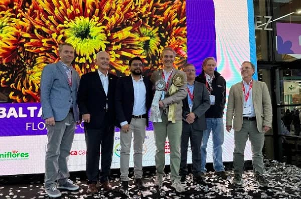 Flores El Capiro y Hilverdaflorist fueron los principales ganadores del Concurso de Variedades en Proflora 2025 en Bogotá