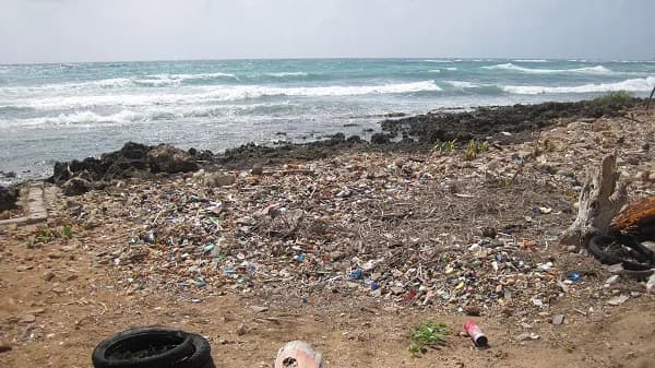 El 23 de febrero se vence el plazo para pagar el impuesto a los plásticos de un solo uso en Colombia, pero el sector advierte que aún no se ha emitido la certificación de economía circular