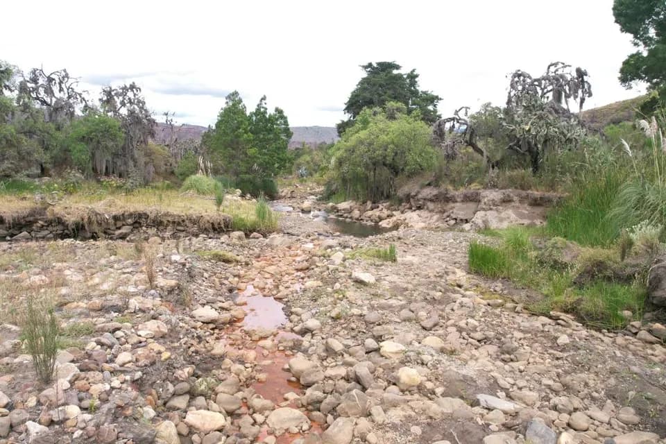 Por primera vez desde que hay registros, la temperatura de la superficie del mar en la región Niño 3.4 supera los 30,0 °C
