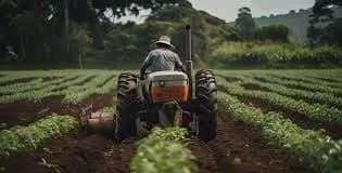 Índice de Precios Agropecuarios de la Bolsa Mercantil, Ipap, subió 2,2% en marzo y acumuló 7,2% en el año