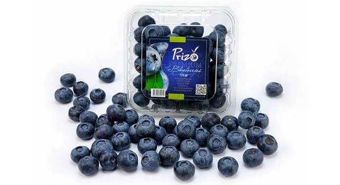 Compañía Prize Holding Chile (con presencia comercial en Colombia) invertirá US$120 millones en expansión de sus negocios de súper frutas en Latinoamérica