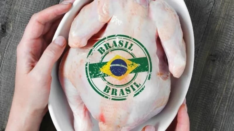 El Instituto Colombiano Agropecuario (ICA) suspendió temporalmente importación de productos avícolas desde el Estado de Rio Grande do Sul de Brasil