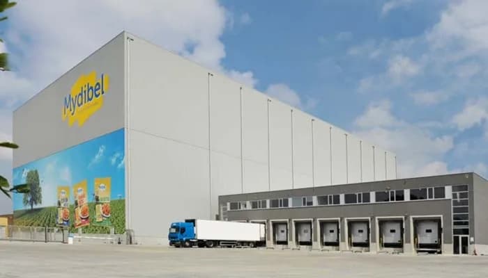 Exclusiva: Consejo de Estado anuló la resolución que imponía derechos antidumping a papas congeladas belgas