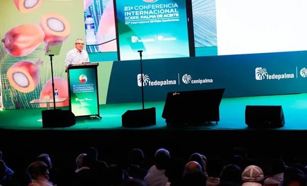 Producción de palma de aceite en Colombia creció 3,3 veces en 25 años, según balance presentado en la Conferencia Internacional en Cartagena
