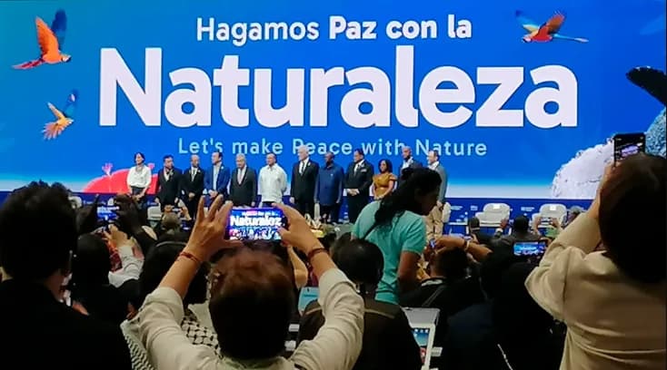 Gobierno busca aumentar la contribución de la bioeconomía al PIB, del 0,8% actual al 3% en 2030, lo que podría generar medio millón de empleos