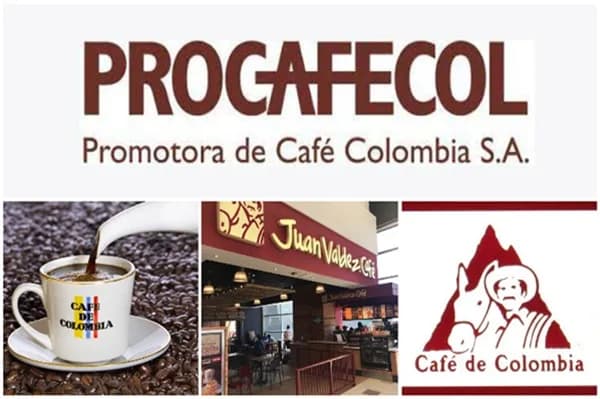 Procafecol implementó estrategias para ampliar la duración de su deuda con la banca local: al cierre de agosto 70% de los vencimientos de deuda de la compañía son de largo plazo