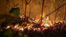 Más de 1.000 hectáreas de tierra quemadas por incendio en zona rural de San Onofre, Sucre